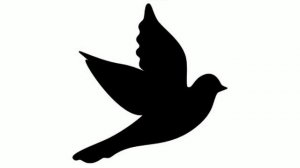 Чёрно-белые картинки для детей. Животные.