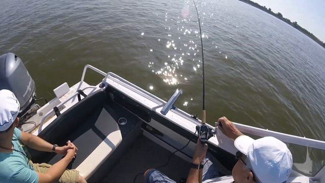 Рыбалка в Астрахани троллинг смотреть онлайн