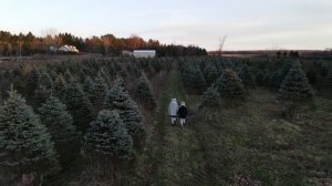 Весть несётся молнией | Детская Рождественская песня || Детские Христианские песни