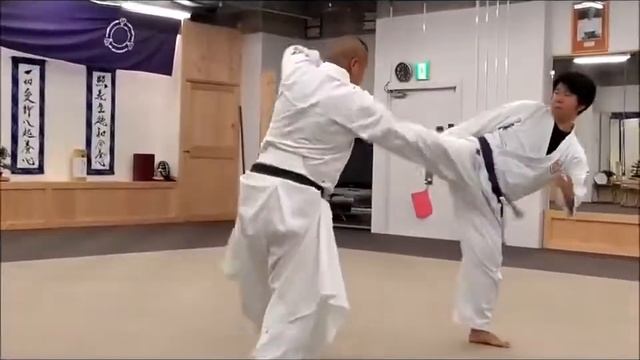 Kung Fu. Self defense. Shaolin Temple Flower Karate Dojo Temples Majesty. 少林寺流空手道錬心舘の神髄　～