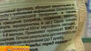 Вист шашка 5 гр
