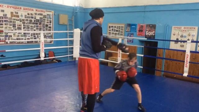 Бокс Работа на лапах смотреть онлайн