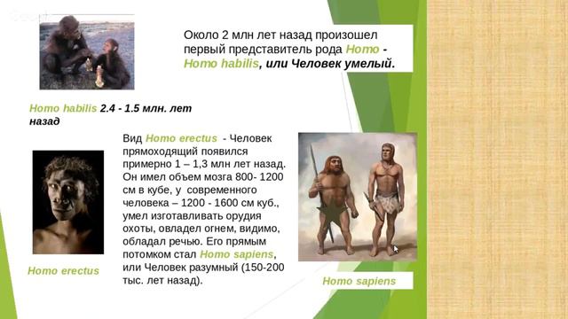 Ср род человек. Род человека биология. Представители хомо хабилис. Виды рода человек. Когда появился человеческий род.