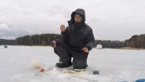 Ловля Уклейки со льда, Истра 2019 Трусово