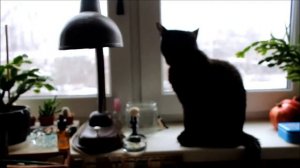 Акрил. Ткани. Процесс/Acrylic. Tissues. Process.