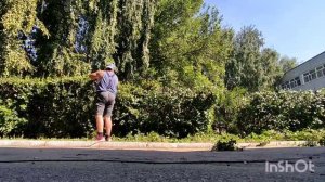 живая изгородь