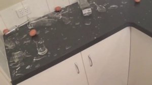 Как убить муху