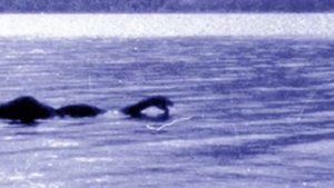 ЛОХ-НЕССКОЕ ЧУДОВИЩЕ. ПРАВДА ИЛИ ВЫМЫСЕЛ.