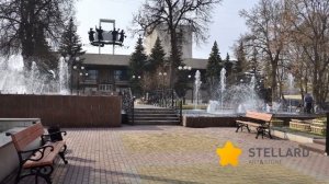 В мире stellard