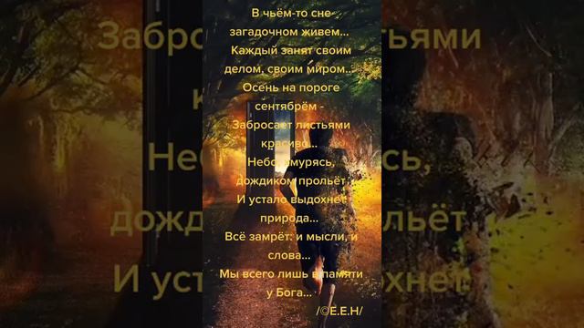 Чей-то сон....