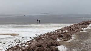 Toyota Tacoma хороший автомобиль для