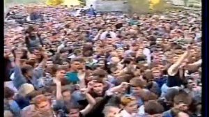 Медведь Я вырастил грибы