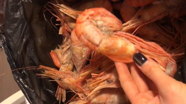 IMG 8073 смотреть онлайн