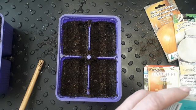 Урожай лука из семян за один сезон. Посев на рассаду 21 февраля 2023 г. смотреть онлайн