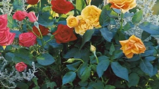 Медитация «Денежный Ангел» смотреть онлайн