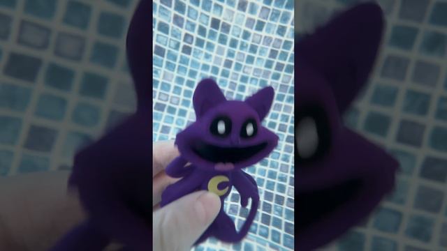Кэтнепик что-то забыл в бассейне 😁😁