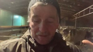 Молочка = мясо + молоко