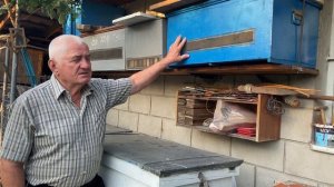 Как сохранить пчелиную сушь