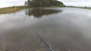 Поклевка щуки на DUO Realis Jerkbait