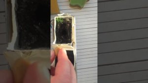 Как сажать орешки фисташки в землю