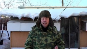 КРОЛИКИ ЭТО НЕ ЦЕННЫЙ МЕХ А ТОЛЬКО МЯСО Кролики содержание и разведение