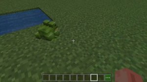 Как призвать Зелёную и Пустынную лягушек в Майнкрафте. Команды