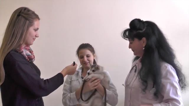 Профессия 