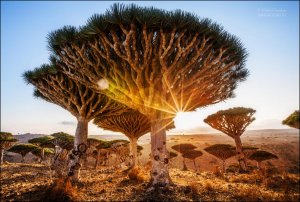 Самые красивые места Йемена. Короткий видеообзор. Достопримечательности Йемена. Слайд-Шоу.