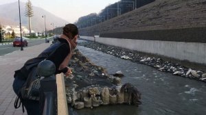 Как мы съездили в Роза Хутор. Сочи в ноябре.