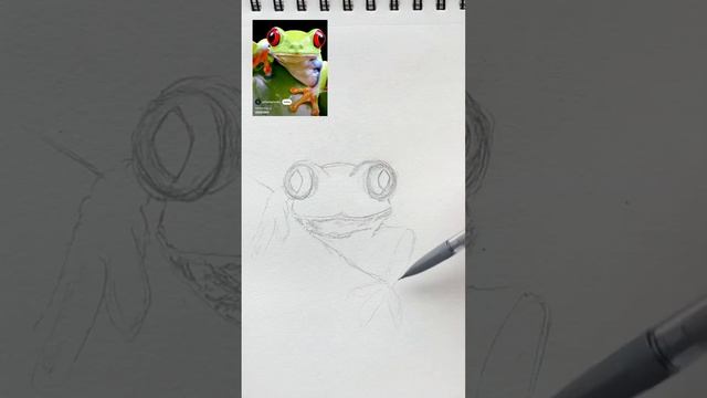 How to draw a realistic frog ? Beginner step-by-step drawing tutorial #learntodraw #howtodraw #frog
