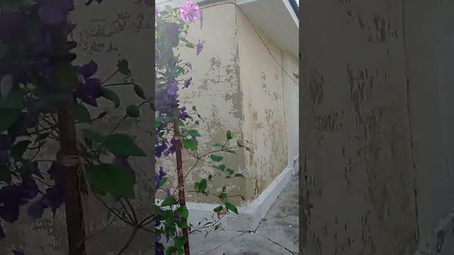 Новая крыша на старый дом.Замена кровли на старом доме
