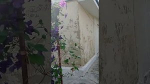 Новая крыша на старый дом.Замена кровли на старом доме