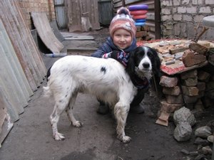 В нашей семье пополнение - кобель породы Русский охотничий спаниель (РОС) по кличке Рикки