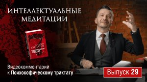 Интеллектуальные медитации. Видеокомментарий к Психософическому трактату: выпуск 29