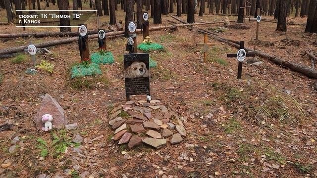 КЛАДБИЩЕ ДОМАШНИХ ЖИВОТНЫХ
