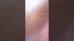 Умом Россию не понять!