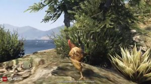 Кактус пейот 20 — GTA 5