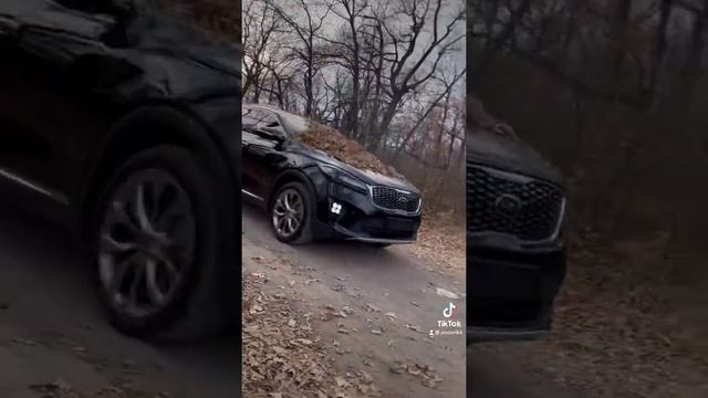 Осень Kia. Sorento Prime.