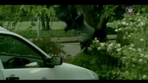 Реклама Volkswagen Polo - 2004 год