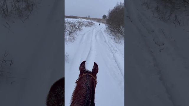 Ура! Нападал грунт, и можно выходить работать в полях!