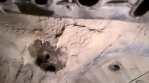 Замена болта на кузове крепления заднего сайлентблока