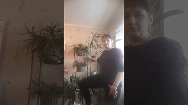 Зарядка для бабушек смотреть онлайн