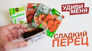 ПЕРЕЦ ЧЕРРИКО РИКО _ ВИКО _ НИКО ? Игрушечные сладкие перцы! Процесс замачивания и высадки семян