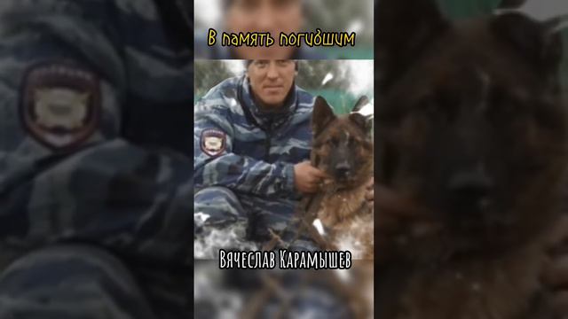 В память погибшим