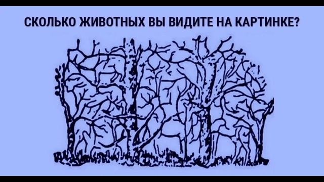 Какое животное увидели на картинке Тест на внимательность - смотреть видео онлайн от "Angry Kid" в хорошем качестве