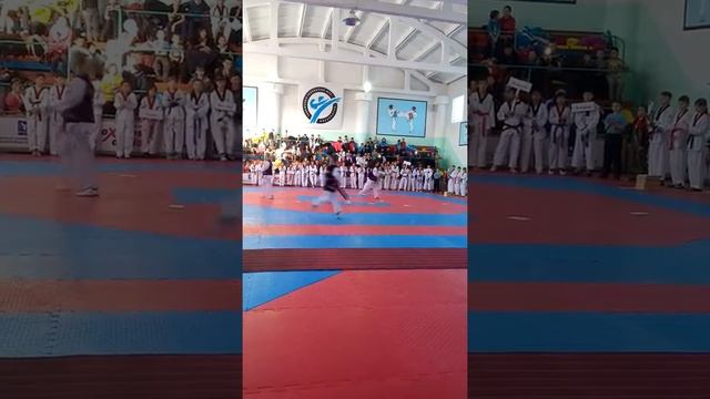 Респ.турнир по таеквондо wtf г.Павлодар 2016 г. смотреть онлайн