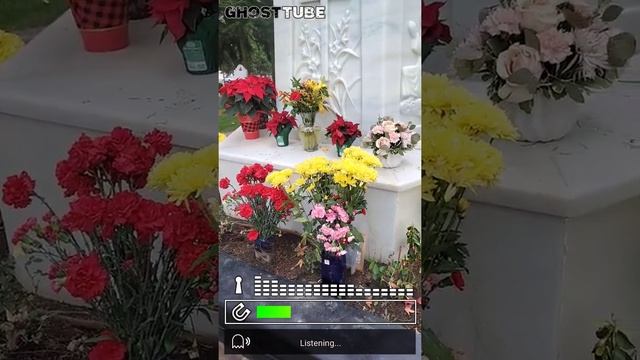 using the SLS ghost app ... and coming to see Harry and Lori and they tell me more ..watch and see смотреть онлайн