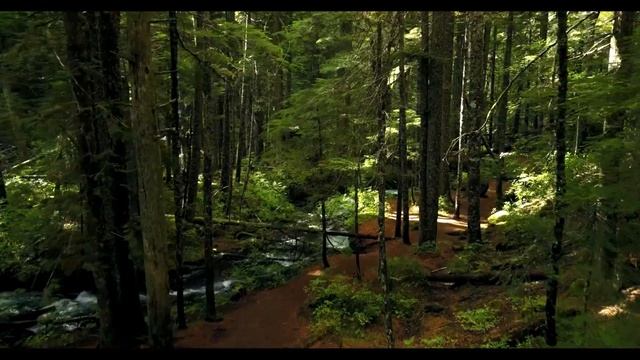 Бабушкины истории.Аудио рассказы .?????? смотреть онлайн