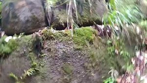 Мегалиты на Сейшелах?)