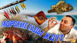 Морские гады ждут